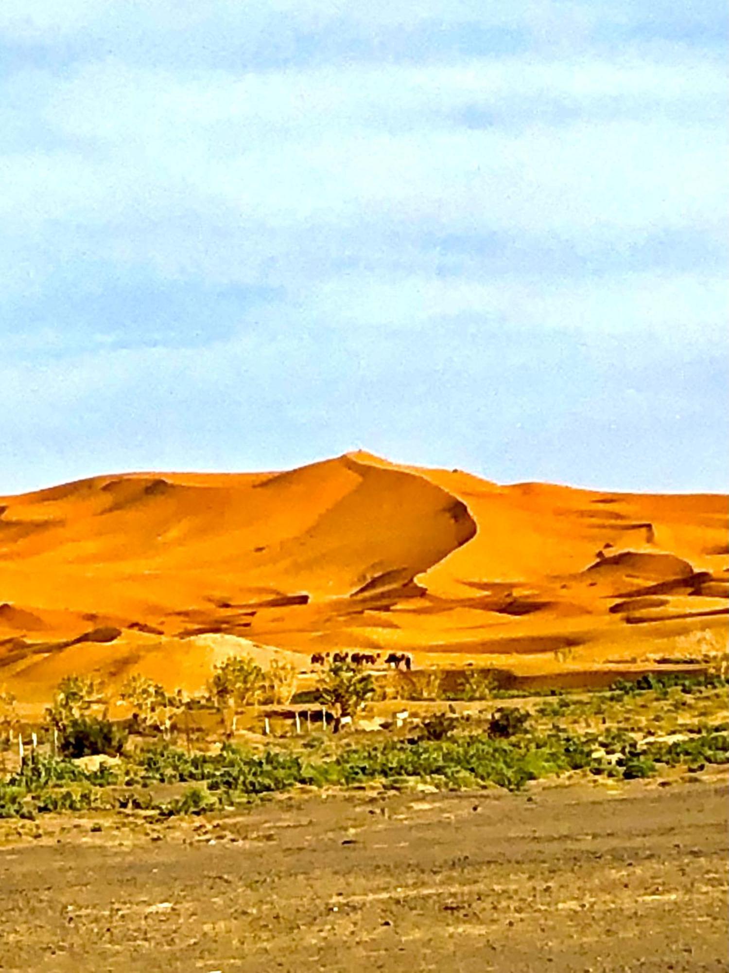Bivouac La Fibule Des Dunes Merzouga Buitenkant foto